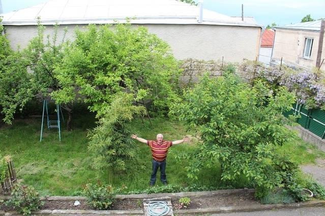 Guesthouse Natali Telavi Exterior photo