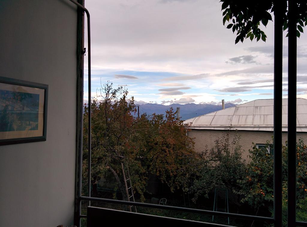 Guesthouse Natali Telavi Exterior photo