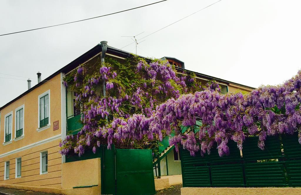 Guesthouse Natali Telavi Exterior photo